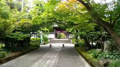 龍福寺のその他建物
