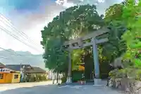 高千穂神社(宮崎県)