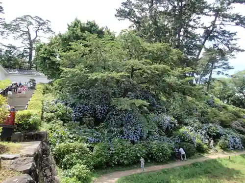 報徳二宮神社の庭園