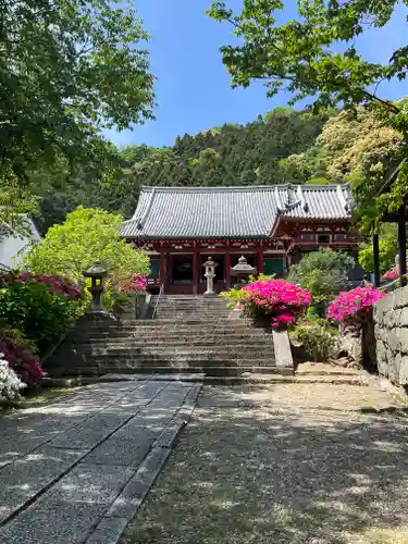 矢田寺(奈良県)