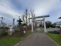 鳥取神社の鳥居