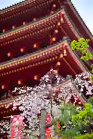 高幡不動尊 金剛寺(東京都)