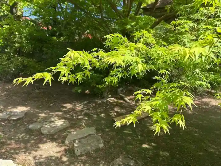 木舟山 順教寺(広島県)