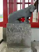 白狐稲荷神社の狛犬