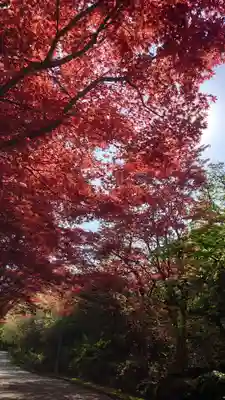 相馬神社(北海道)