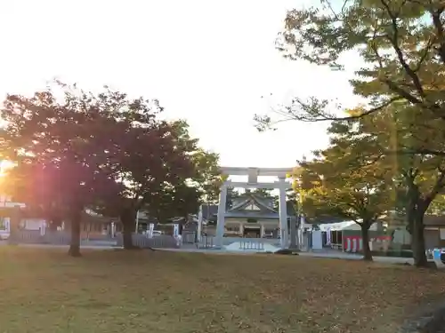 廣島護國神社の鳥居