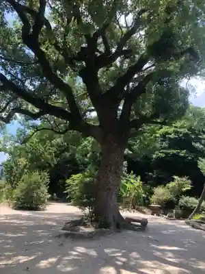 興徳寺(福岡県)