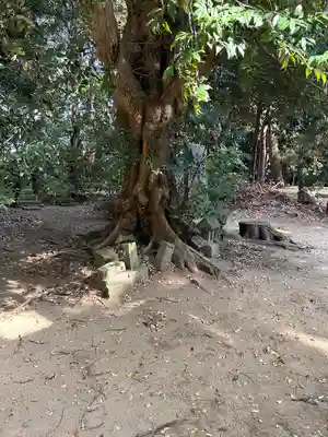 熊野神社(千葉県)