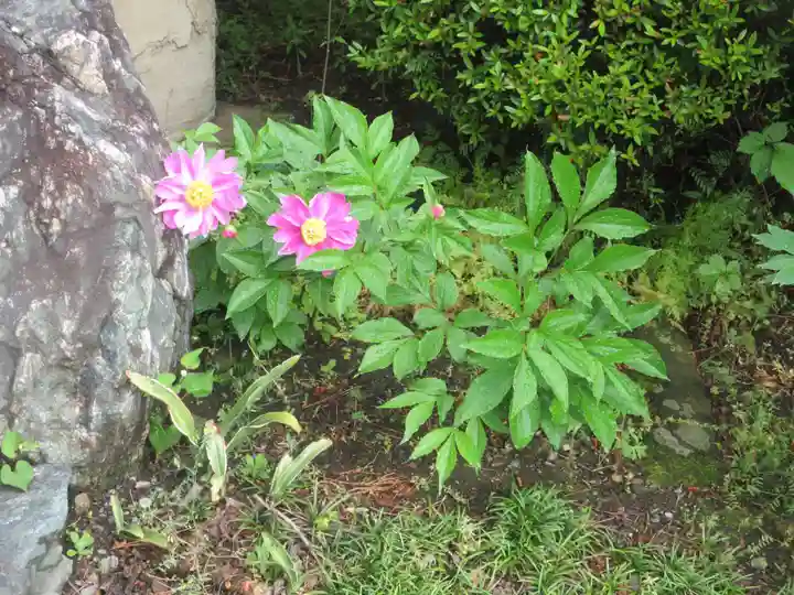 本城寺(群馬県)