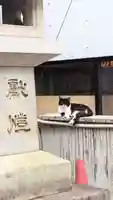 白金氷川神社の動物
