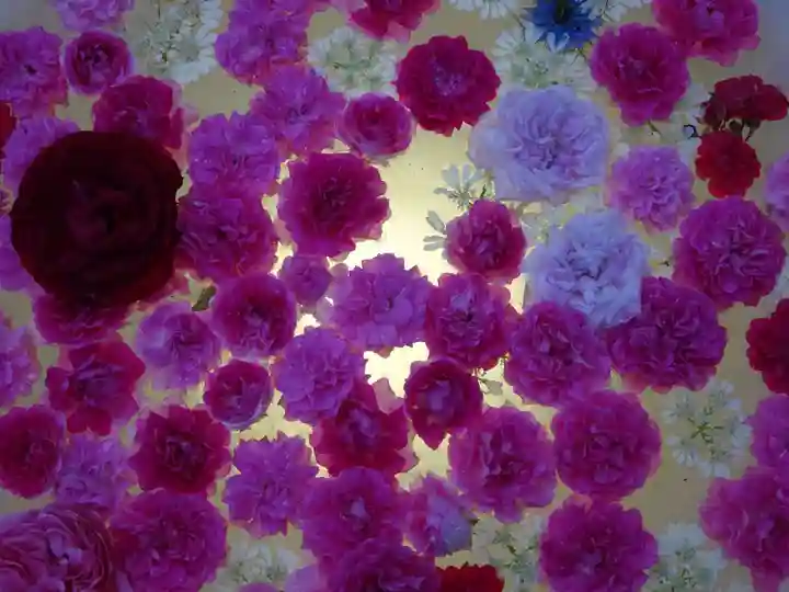 天王山 安楽寺のその他建物