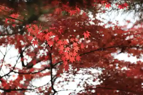 開成山大神宮の庭園