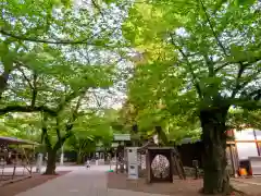 靖國神社の建物その他