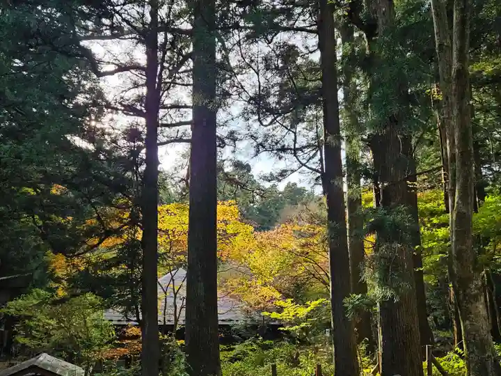本宮神社(日光二荒山神社別宮)(栃木県)