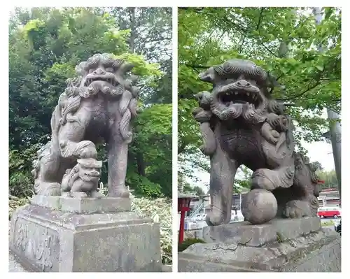 神炊館神社 ⁂奥州須賀川総鎮守⁂の狛犬