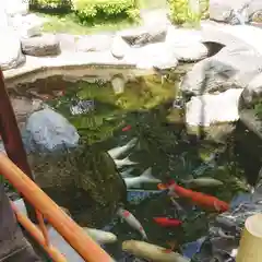 尾張猿田彦神社の庭園