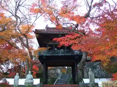 来迎寺(山口県)