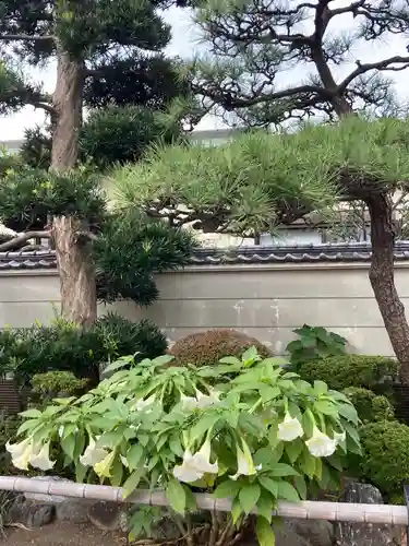 信隆寺(神奈川県)