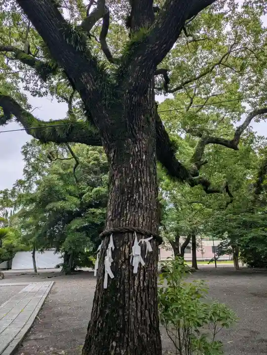 津嶋神社(香川県)