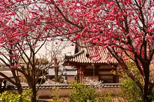 祥雲寺(愛媛県)