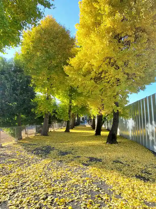 龍泉寺 (福居町)(栃木県)
