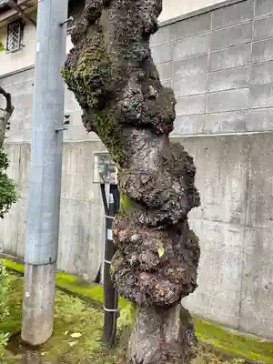 福相寺(東京都)