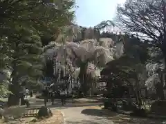 清雲寺の建物その他