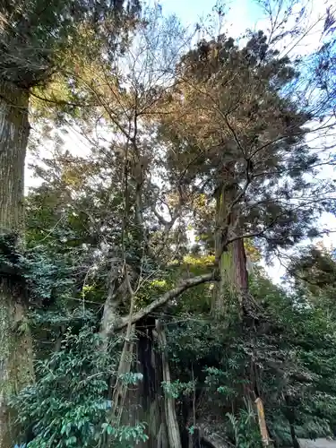 香取神宮の自然