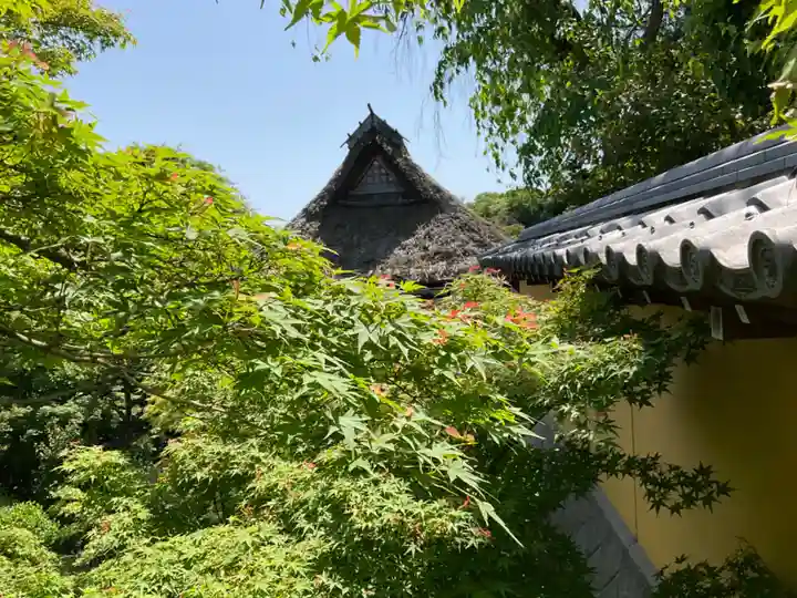浄林寺(栃木県)