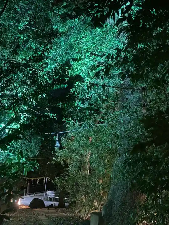 川越氷川神社(埼玉県)