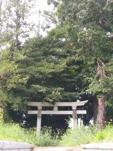 神社(名称不明)の鳥居