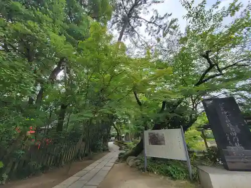 越ヶ谷久伊豆神社の庭園