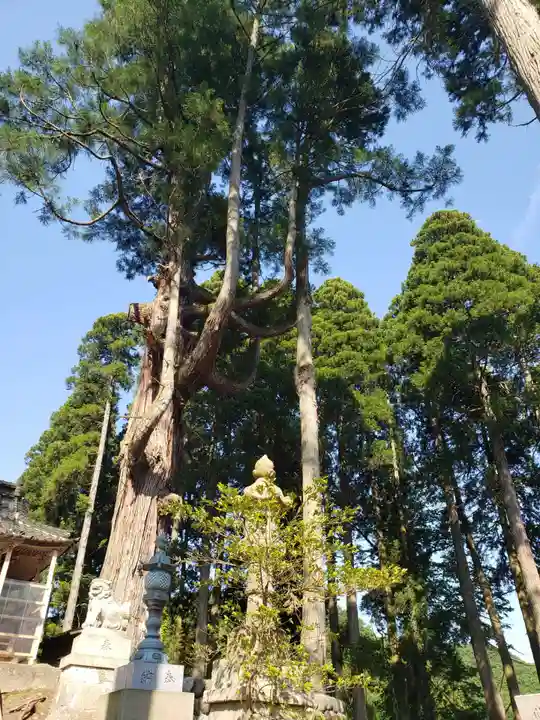 頭川神社の自然