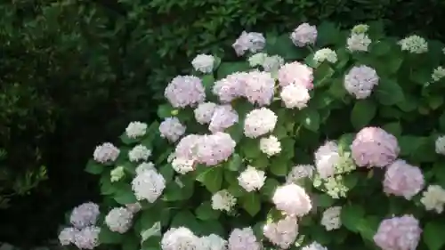 岡寺（龍蓋寺）(奈良県)