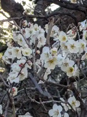 湯島天満宮(東京都)