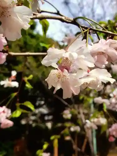赤坂氷川神社(東京都)