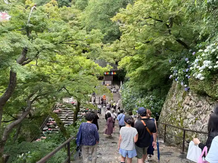 長谷寺(奈良県)