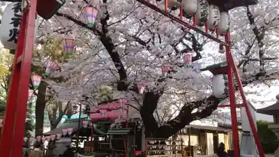 居木神社(東京都)