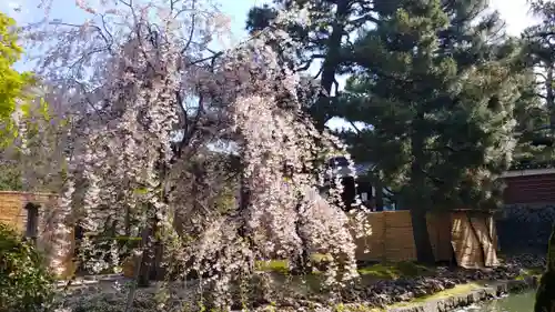 建仁寺（建仁禅寺）の庭園