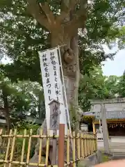 素盞嗚神社の自然