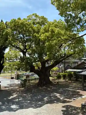 土肥神社(静岡県)
