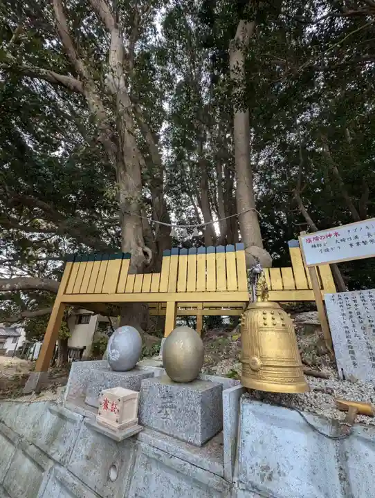 ほしいも神社(茨城県)