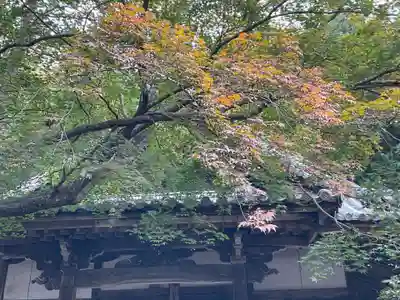 現光寺(京都府)