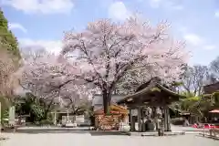 出雲大社相模分祠(神奈川県)