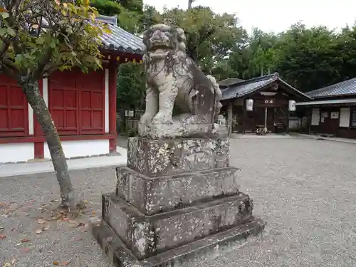 櫻井神社の狛犬