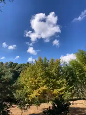 小坂熊野神社(茨城県)