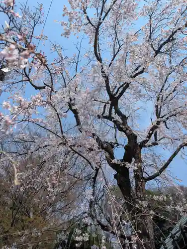 妙見堂(東京都)