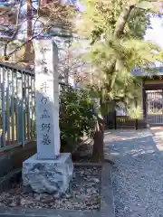 豪徳寺の建物その他