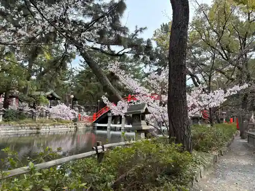 住吉大社の自然