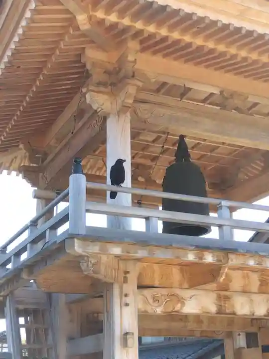 法華寺(福井県)